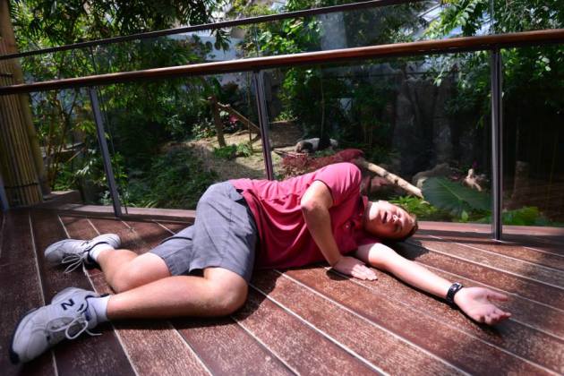 Even other people started taking pictures of this one.